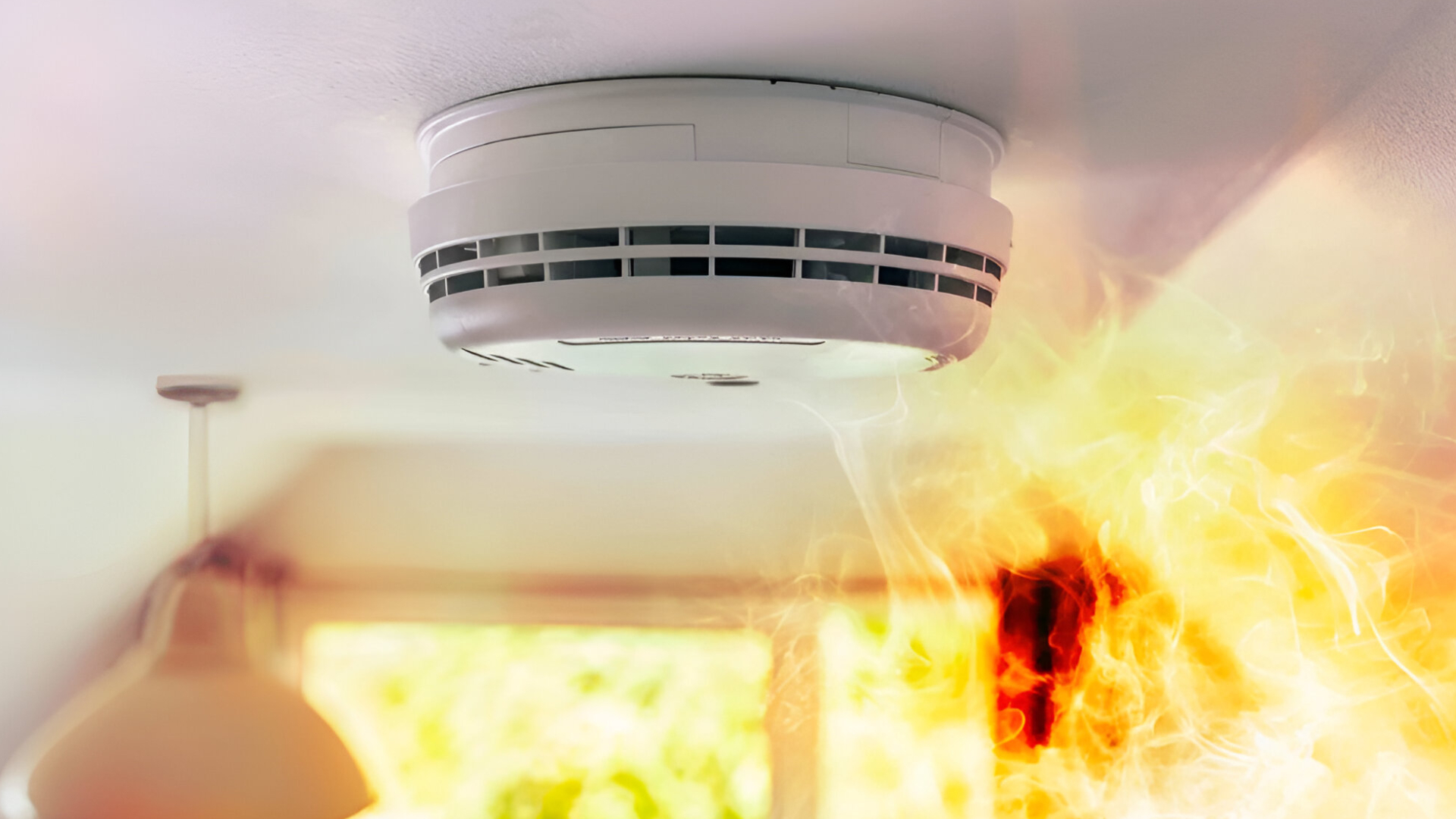 Dental Care Services